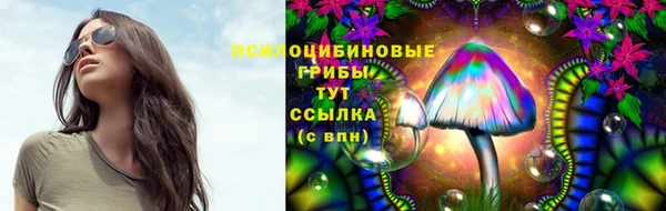 спайс Аркадак