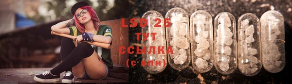 индика Армянск