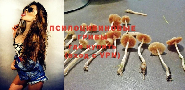индика Армянск