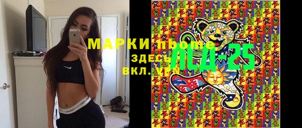 индика Армянск