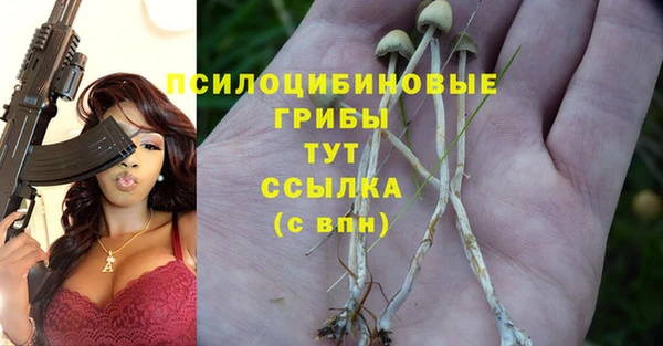 спайс Аркадак