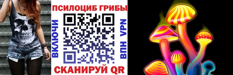 Псилоцибиновые грибы MAGIC MUSHROOMS  даркнет сайт  Калач 